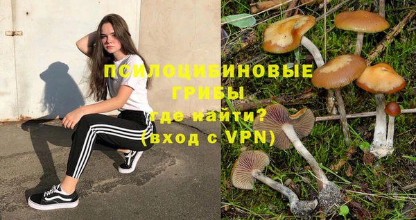 мет Балахна