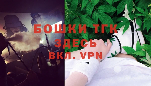 твердый Осташков