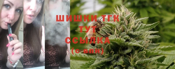 PSILOCYBIN Балабаново