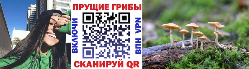 Галлюциногенные грибы мицелий  купить наркоту  Сухиничи 